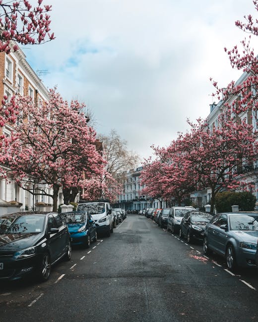 A narrow residential street lined with parked cars on both sides, with a row of blossoming pink cherry trees extending over the pavement. The street features a variety of vehicles including small hatchbacks and larger vans, some with visible protective coverings such as plastic and blankets, indicating they are prepared for a home relocation or furniture transport. At the far end, the street opens into a broader section with more parked vehicles and classic UK-style terraced houses, some with decorative facades and balconies. The overall scene is set during daytime with a partly cloudy sky, and the environment suggests a peaceful inner-city neighbourhood. This visual context relates to the process of packing and moving, as seen in professional removals services like those provided by Man and Van West Kensington, which frequently coordinate loading and transport in similar urban settings.